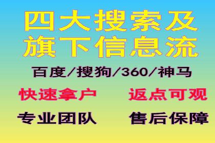 专业SEM托管服务成功案例分享